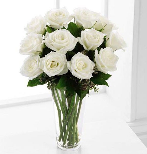 Send 12 White Ecuadorian Roses to Philippines,Philippinesrose.com