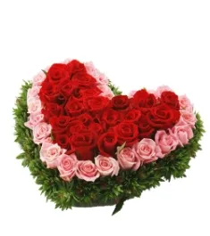 60 Heart shape Mixed Roses