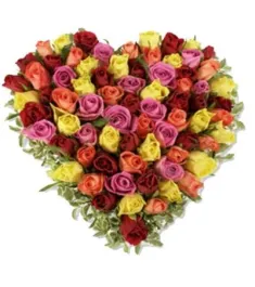 100 Heart shape Mixed Roses