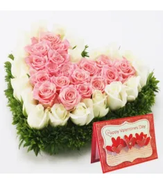 48 White & Pink Combination of Roses