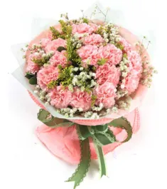 17 Pink Carnations with Baby's Breath