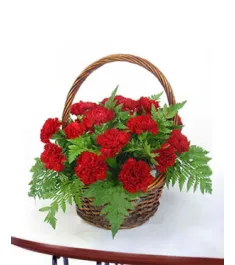 24 red carnations online to philippines