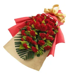 21 Red Carnations