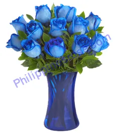 12 Holland Blue Roses Delivery to Philippines