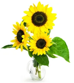 three pieces sunflower in vase