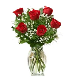 6 Ecuadorian Red Roses in Vase to Philippines