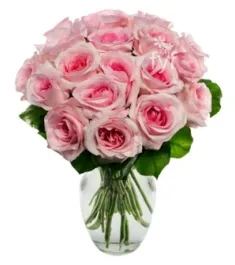 18 Light Pink Roses Send to Philippines