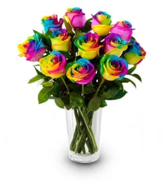 12 Rainbow Roses in Vase to Philippines