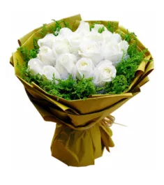 24 White Roses