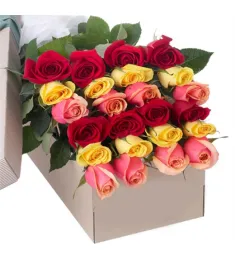 2 Dozen Assorted Color Roses in a Box Send to Philippines