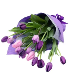 15 purple tulip in bouquet to philippines