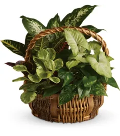 Emerald Garden Basket Delivery To Philippines