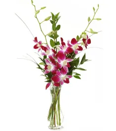 5 Pcs Purple Orchids in a Vase