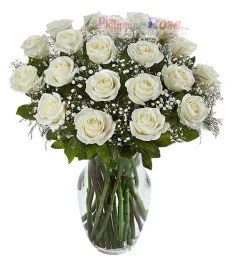 24 White Roses Send to Philippines