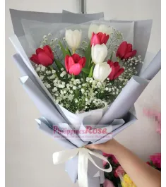 9 Pcs Red & White Tulips in a Bouquet