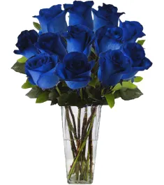 12 Blue Ecuadorian Roses to Philippines