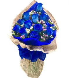 12 Blue Ecuadorian Roses to Philippines