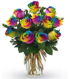 12 Rainbow Roses in Vase to Philippines