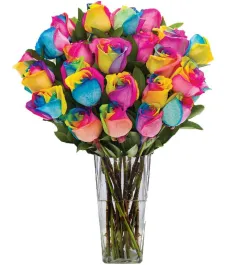 12 Rainbow Roses in Vase to Philippines