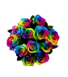 12 Rainbow Roses in Vase to Philippines