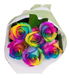 12 Rainbow Roses in Vase to Philippines