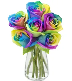 12 Rainbow Roses in Vase to Philippines