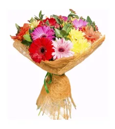 Mixed Gerbera in a Bouquet