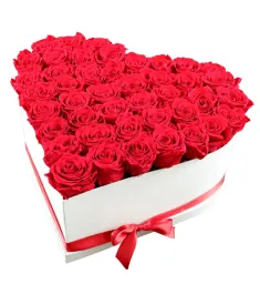 100 Red Roses