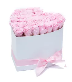 100 Pink Roses