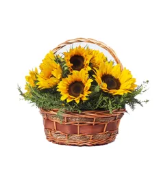 sunflower delivery philippines