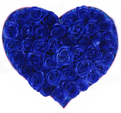 12 Blue Ecuadorian Roses to Philippines