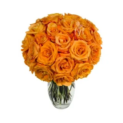 24 Orange Roses Send to Philippines