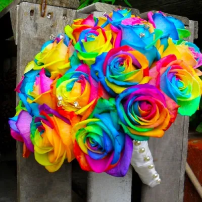 Rainbow Rose 1 Dozen to Philippines