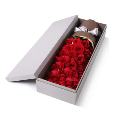 Send 24 Red Rose to Philippines