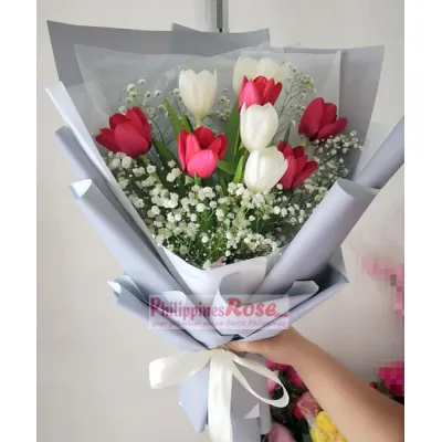 9 Pcs Red & White Tulips in a Bouquet