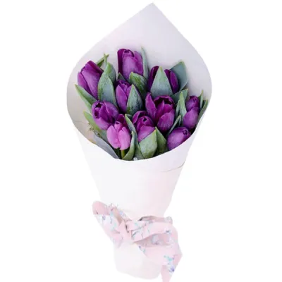 buy 10 pieces tulips philippines