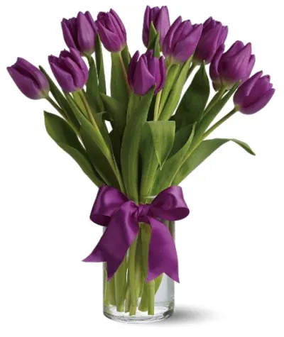 12 Purple Holland Tulip in Vase to Philippines