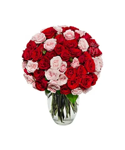 100 Blooms of Pink and Red Roses Delivery to Philippines