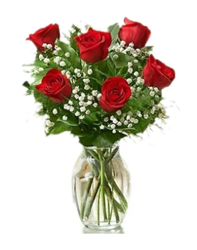 6 Ecuadorian Red Roses in Vase to Philippines