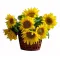 sunflowers in basket to philippines