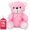 8'' Pink Teddy Bear